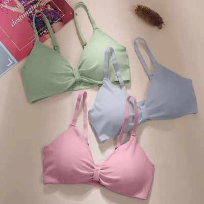 Comfy Secret Women Everyday Lightly Padded Bra(Blue, Pink, Light Green)