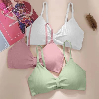 Comfy Secret Women Everyday Lightly Padded Bra(White, Light Green, Pink)