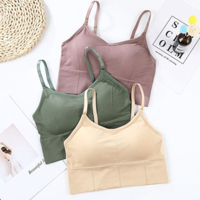 under 1000 Women Everyday Lightly Padded Bra(Brown)