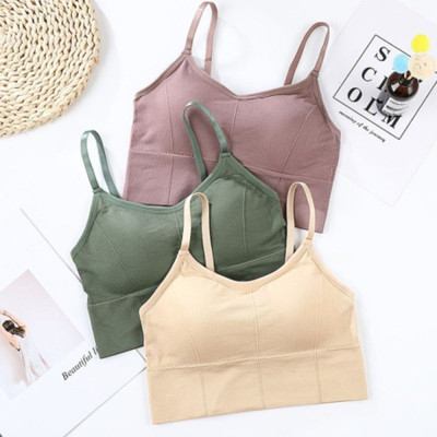Youblu Women T-Shirt Lightly Padded Bra(Purple, Green, Beige)