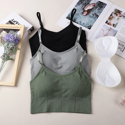 INFINIUM Premium Quality Women Full Coverage Lightly Padded Cami Bra Women Everyday Lightly Padded Bra(Multicolor)