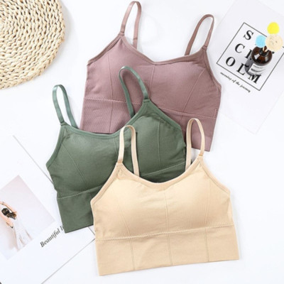 under 1000 Women Everyday Lightly Padded Bra(Multicolor)