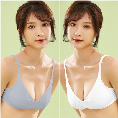 Trishazy Women Everyday Lightly Padded Bra(Light Blue)