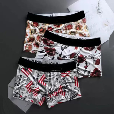 Cavendres Men Brief