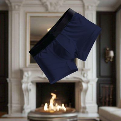 HFSHIRTS Men Brief