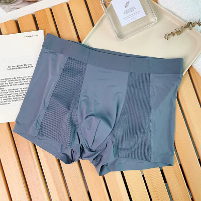 SPJ ENTERPRISE Men Brief