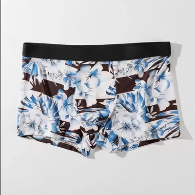 Cavendres Men Brief