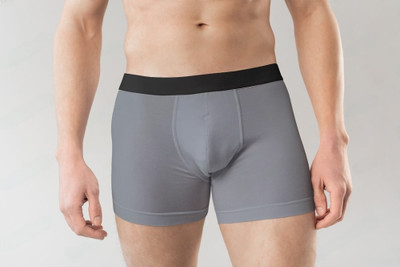 PARAS IMEXPORT Men Brief