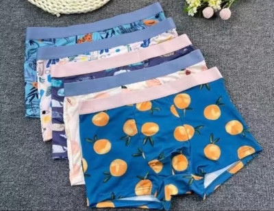 IMPORTED CK UNDERWEAR Men Brief