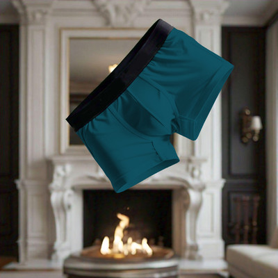 HFSHIRTS Men Brief