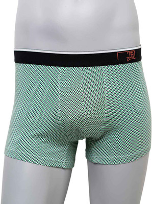 roar for good Men Brief