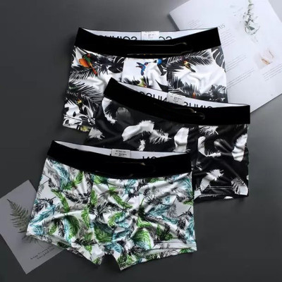 Cavendres Brief For Boys(Multicolor Pack of 3)