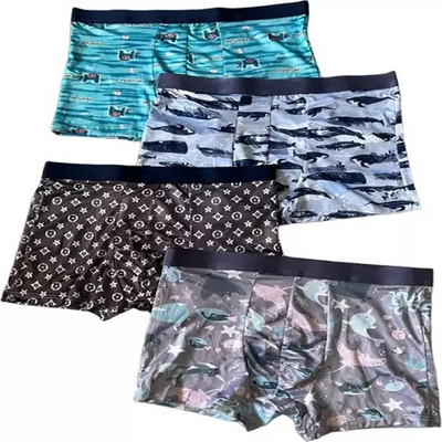 Cavendres Men Brief