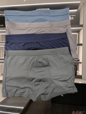 TEHSVA Men Brief