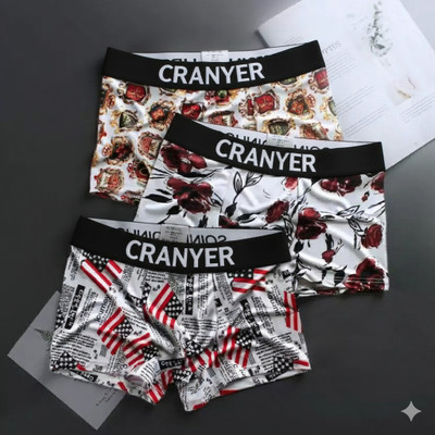 CRANYER Men Brief