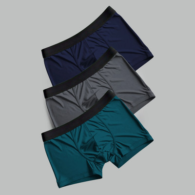 Dhanashri Trends Men Brief