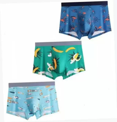 Lavanya Men Brief