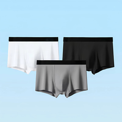 ARNIVALA Men Brief