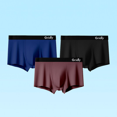 Gridly Men Brief