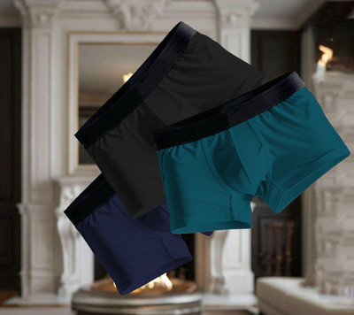 HFSHIRTS Men Brief