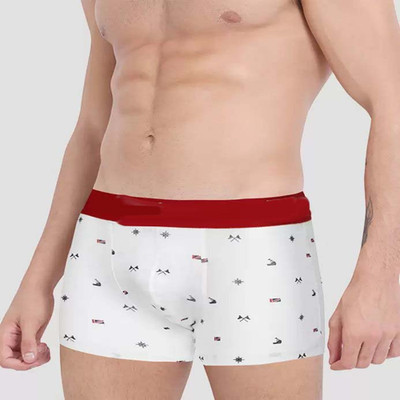 Cavendres Men Brief