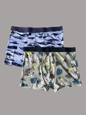 MicroModal Men Brief