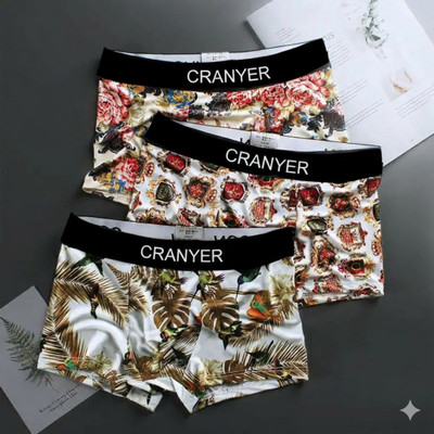 CRANYER Men Brief