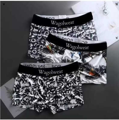 WAGOLWEAR Men Brief