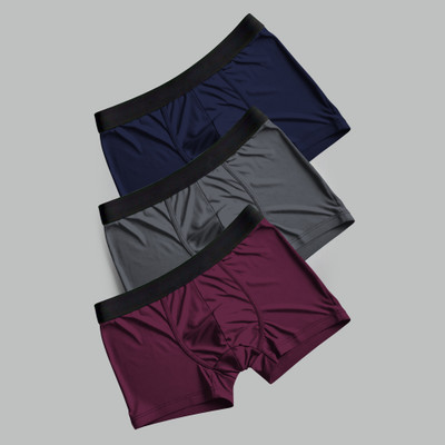 HFSHIRTS Men Brief