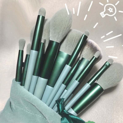 Beauty Buckteer 13 Unique MAKEUP BRUSH SET WITH POUCH(Pack of 13)