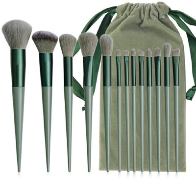 Scheibe 13 pcs Fix Plus Premium Brush(Pack of 13)