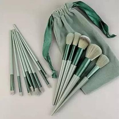 asija makeovers 13 Pcs Makeup Brushes for Foundation Eyeshadow Powder Brush with Portable Pouch(Pack of 13)