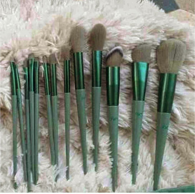 K3NTERPRISES All-Purpose 13-Piece Brush Set for Versatile Makeup(Pack of 13)