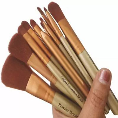 DUSSEN Naked Kit 12 Make Up Brush With 5 in 1 Matte Lipstick(Pack of 1)