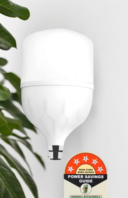 Dunagiri 30 W Basic Standard B22 D LED Bulb(White)