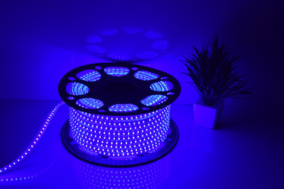 LiteSun 120 LEDs 5 m Blue Steady Strip Rice Lights(Pack of 1)