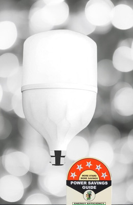 Dunagiri 30 W Basic Standard B22 D LED Bulb(White)