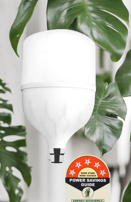 Dunagiri 30 W Basic Standard B22 D LED Bulb(White)