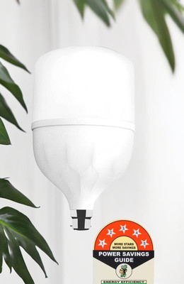 Dunagiri 25 W Basic Standard B22 LED Bulb(White)