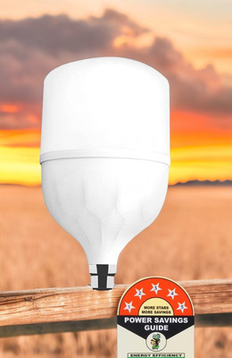Dunagiri 25 W Basic Standard B22 LED Bulb(White)