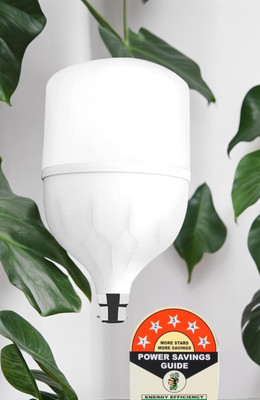 Dunagiri 30 W Basic Standard B22 D LED Bulb(White)