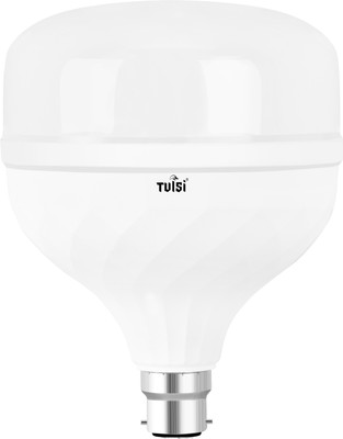 spark world 60 W Basic Standard B22 LED Bulb(White)