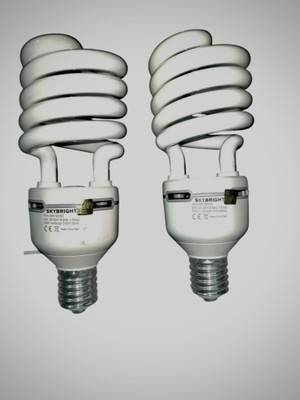 skybright 80 W Eye Safety Compliance Spiral E40 CFL Bulb(White, Pack of 2)