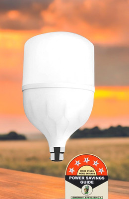 Dunagiri 25 W Basic Standard B22 LED Bulb(White)