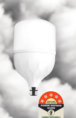 Dunagiri 25 W Basic Standard B22 LED Bulb(White)