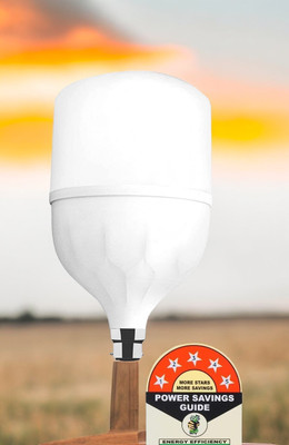 Dunagiri 25 W Basic Standard B22 LED Bulb(White)