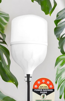 Dunagiri 30 W Basic Standard B22 D LED Bulb(White)