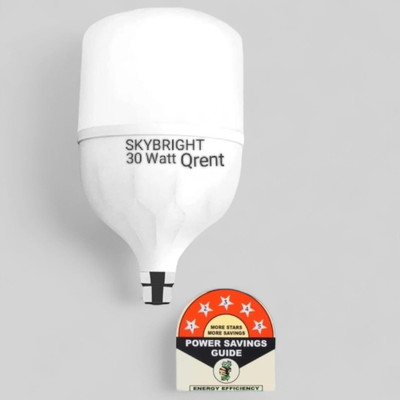 skybright 30 W Basic Round B22 LED Bulb(White)