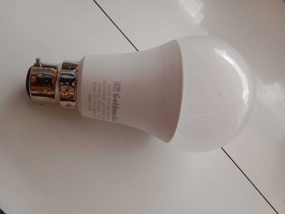 Gold Medal 12 W Basic Capsule B22 LED Bulb(White)