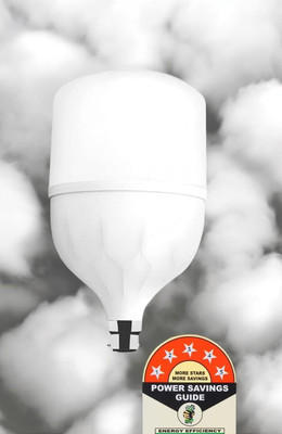 Dunagiri 25 W Basic Standard B22 LED Bulb(White)